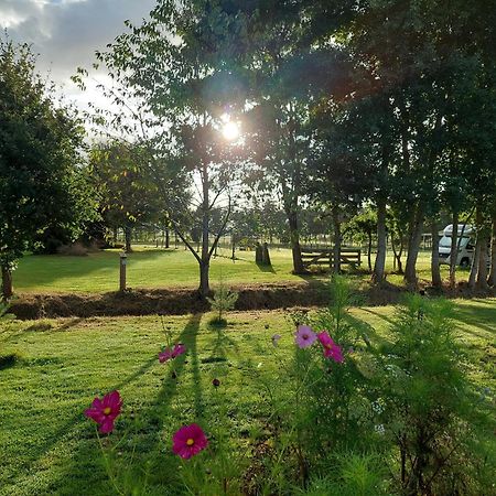 Erfgoed De Boemerang - Chalets Meppen Esterno foto
