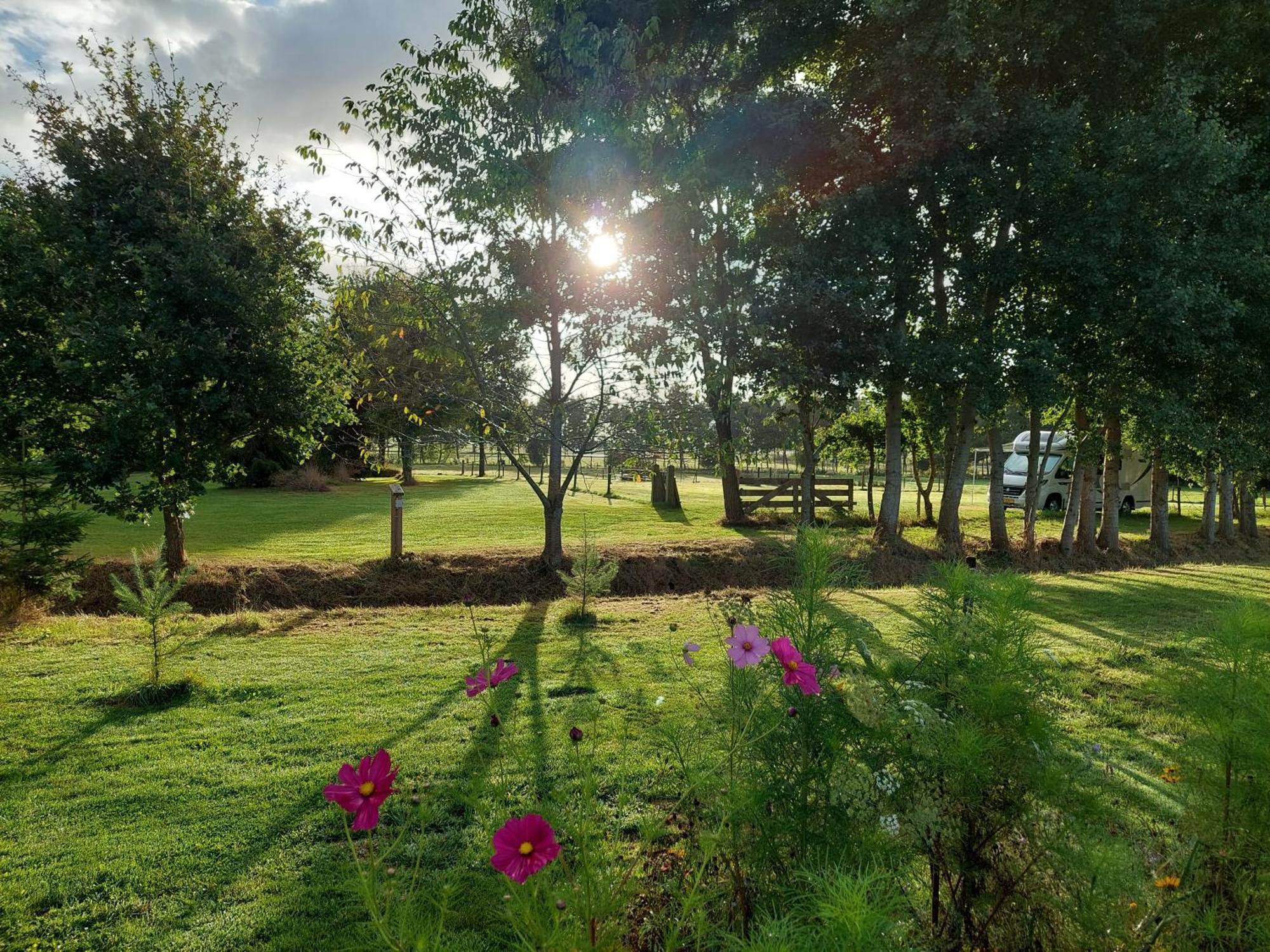 Erfgoed De Boemerang - Chalets Meppen Esterno foto